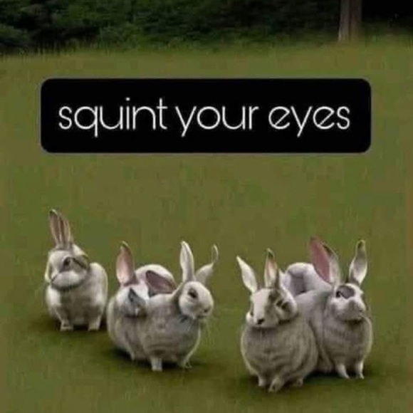 Meet your Posher, David - Picture 1 of 1